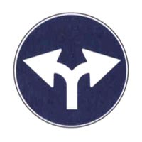 Segnale 3658